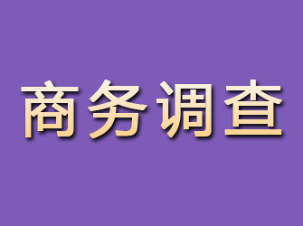 容县商务调查